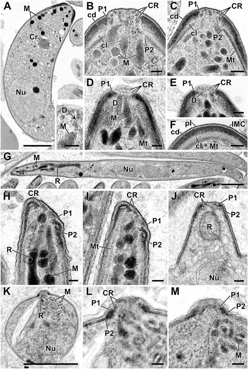 Fig 8