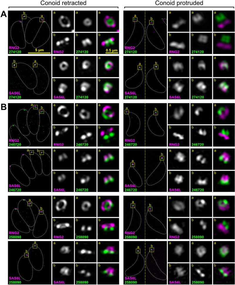 Fig 3