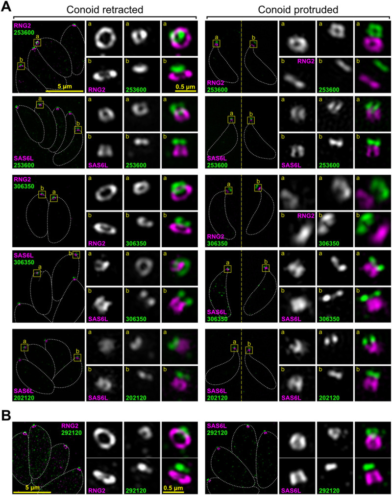 Fig 4