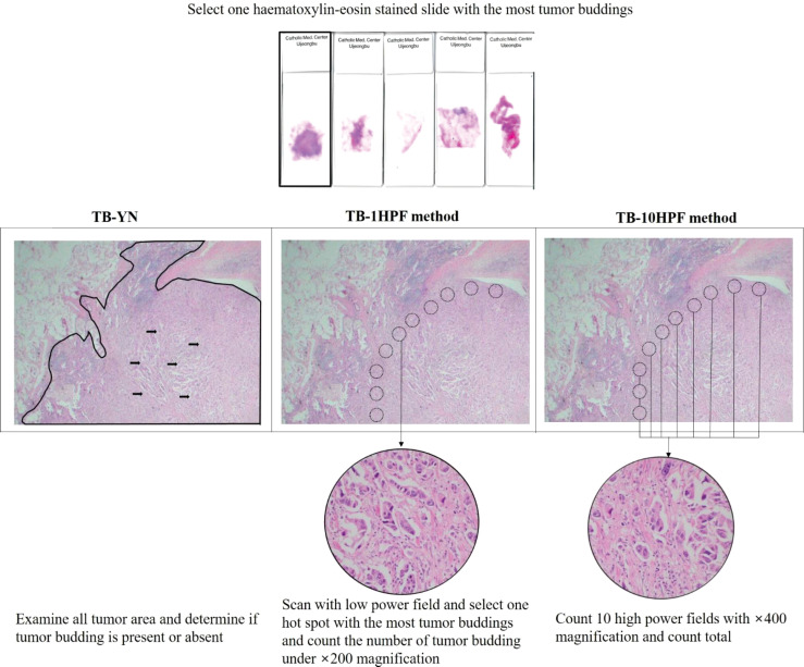 Figure 3