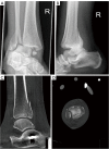 Figure 6