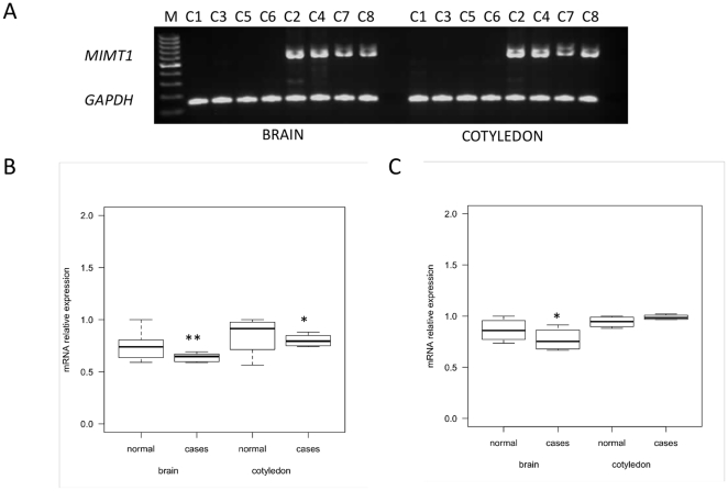 Figure 7