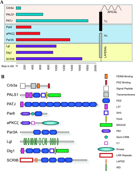 Fig. 3.