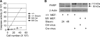 FIG 5