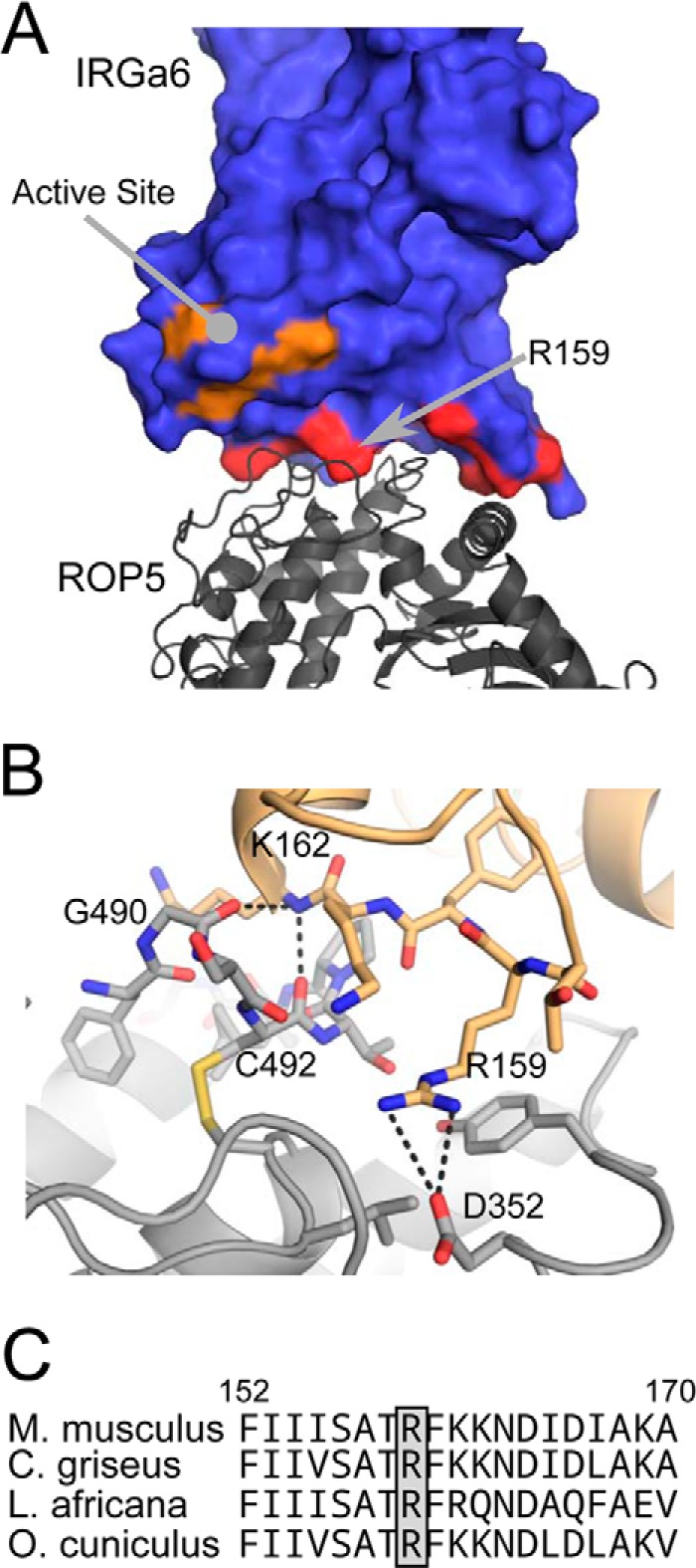 FIGURE 2.