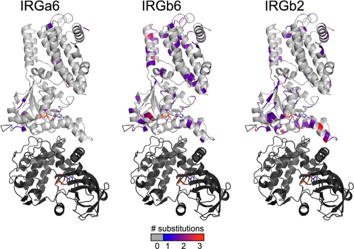 FIGURE 5.