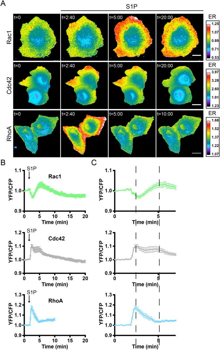 FIGURE 3: