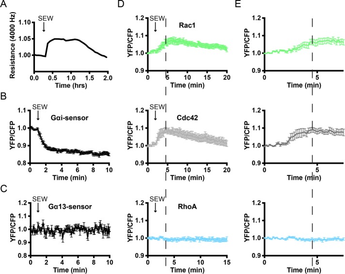 FIGURE 5: