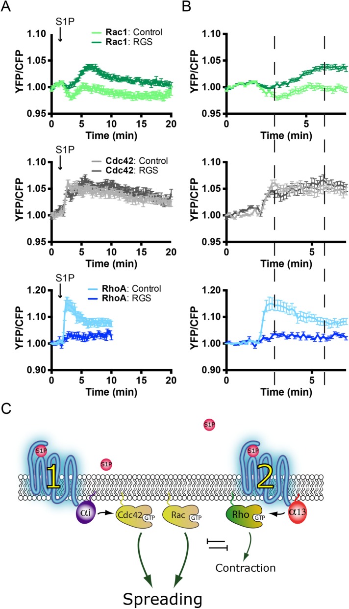 FIGURE 7: