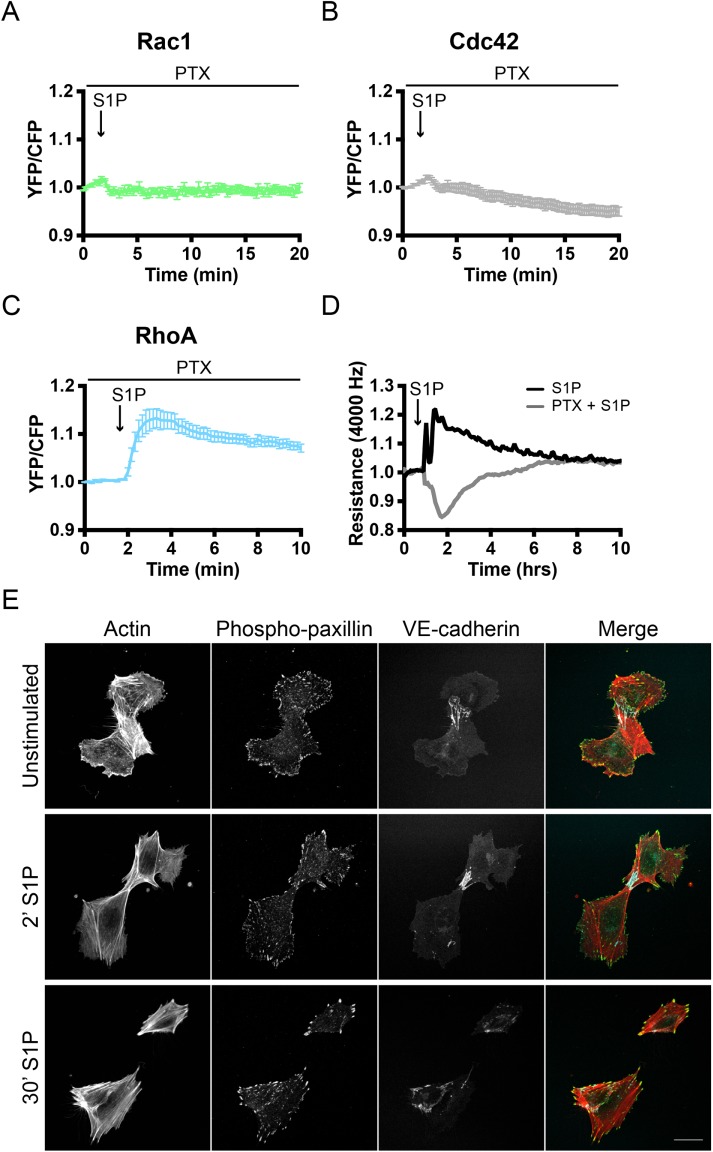 FIGURE 6: