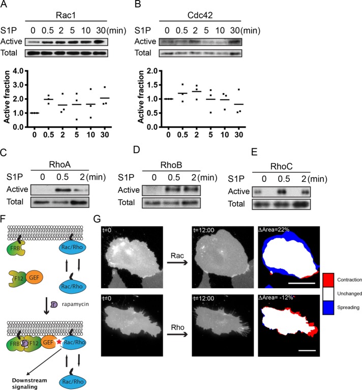 FIGURE 2: