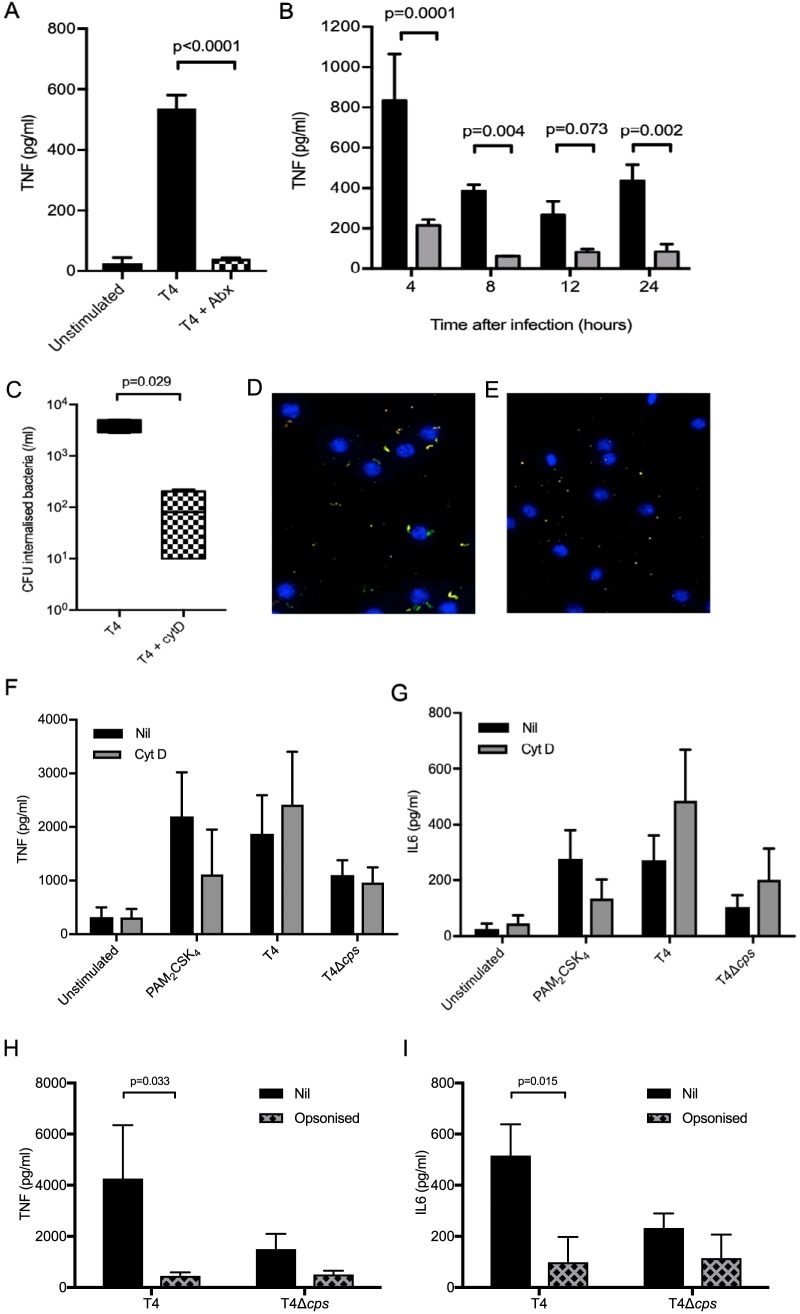 FIG 6