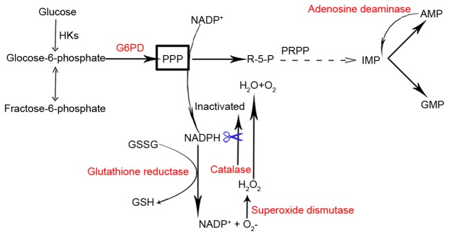 Figure 5.