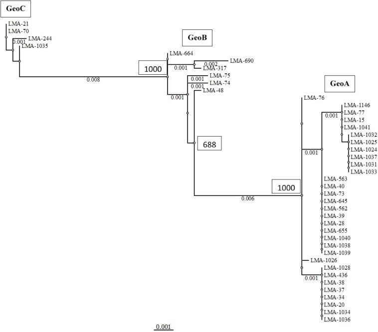 FIGURE 3