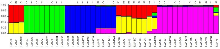 FIGURE 4