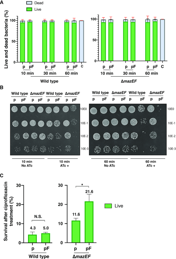 Figure 2.