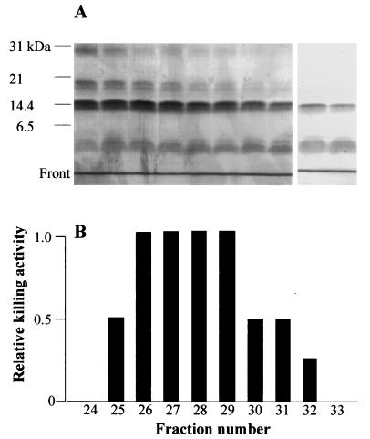 FIG. 4.