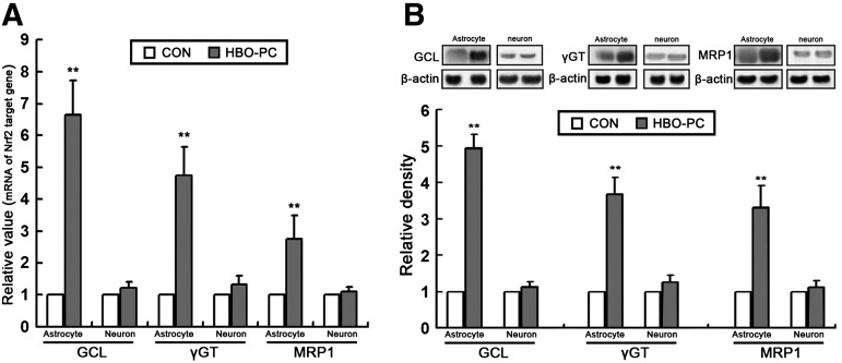 FIG. 10.