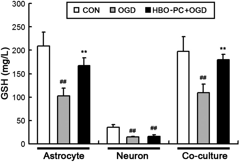 FIG. 11.