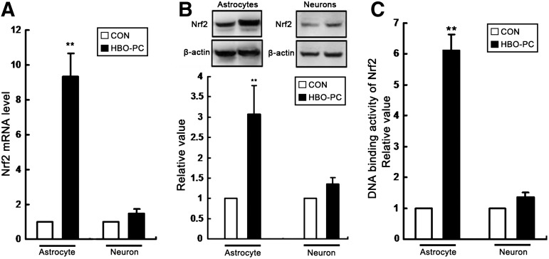 FIG. 9.