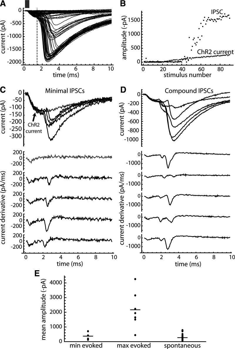 Figure 11.