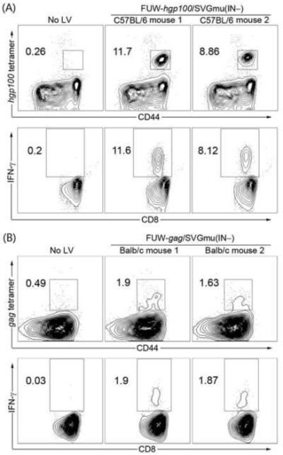 FIGURE 6