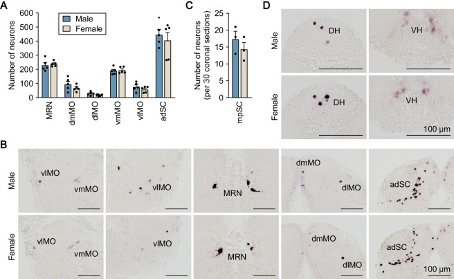 Figure 3—figure supplement 3.