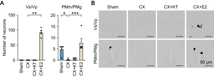 Figure 2—figure supplement 1.