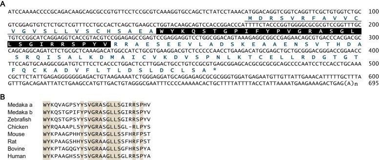 Figure 4—figure supplement 1.