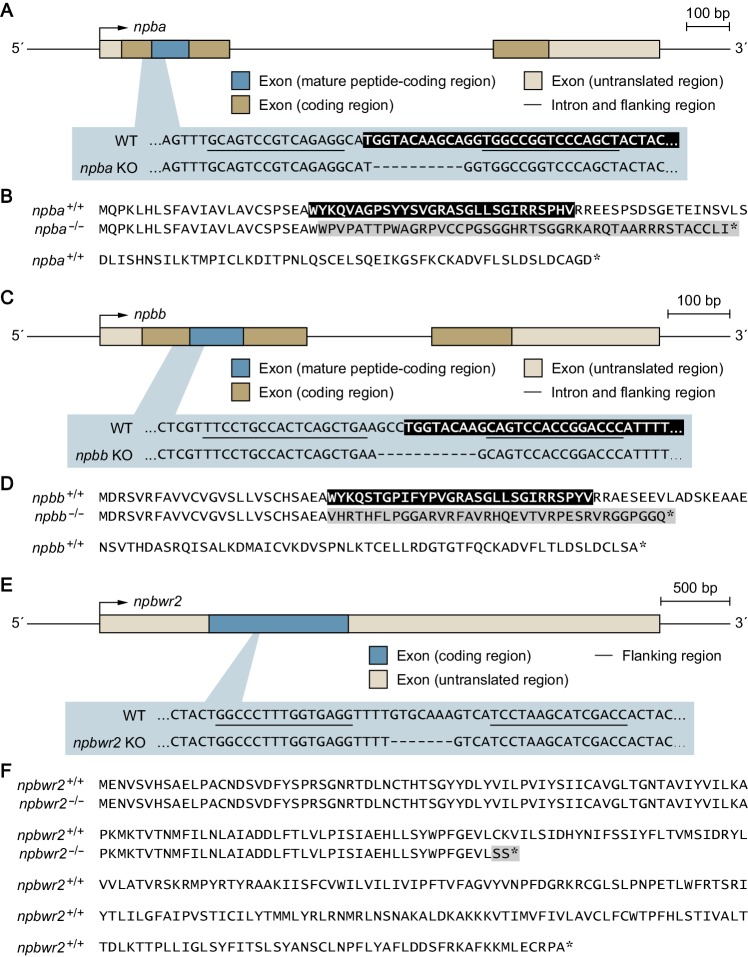 Figure 6—figure supplement 1.