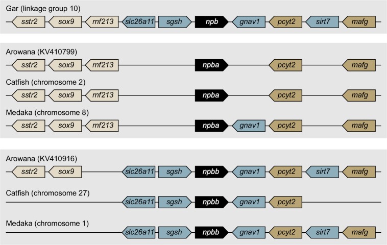 Figure 4—figure supplement 2.