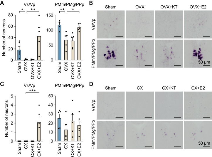 Figure 5—figure supplement 1.