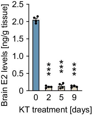 Figure 2—figure supplement 2.