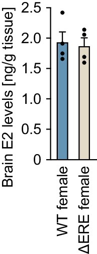 Figure 1—figure supplement 2.