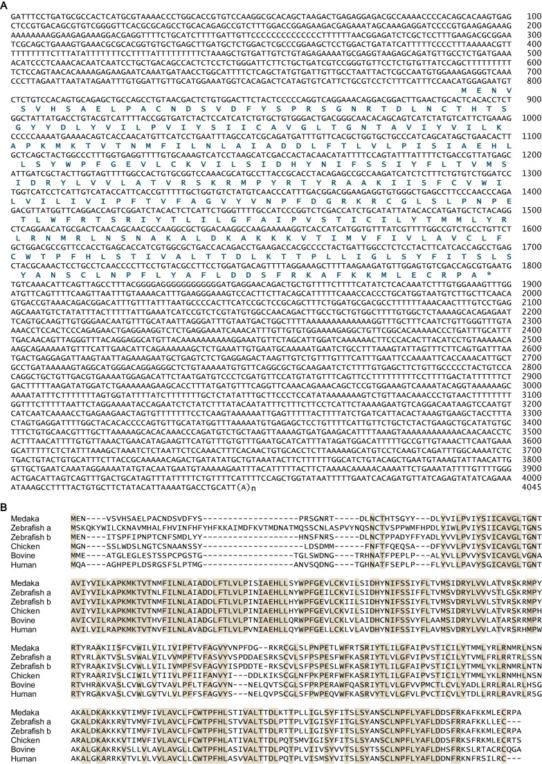 Figure 3—figure supplement 4.