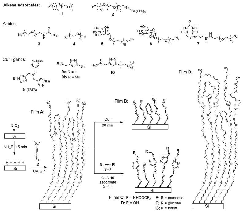 Scheme 1