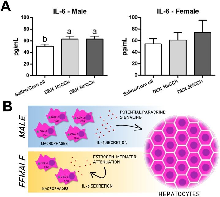 Fig 10