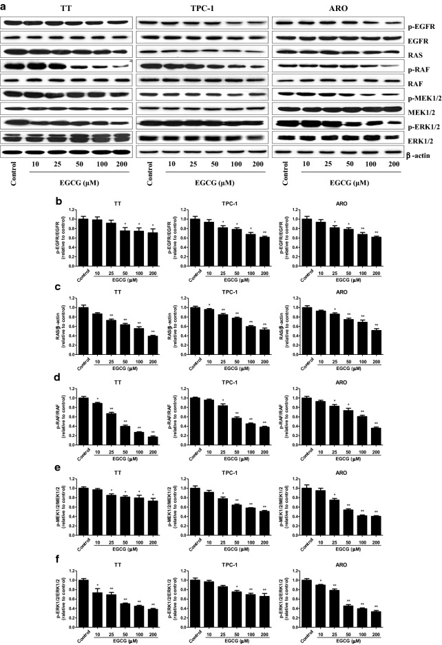 Fig. 7