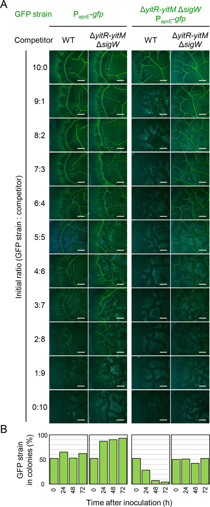 Fig 10