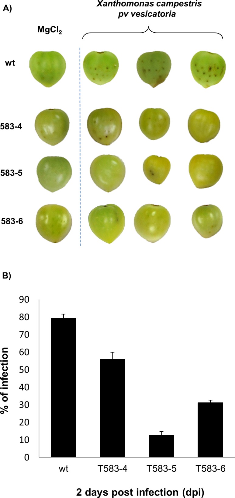 Fig 5