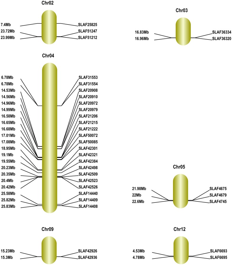 Fig 11