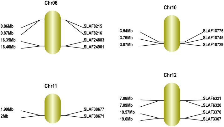 Fig 10