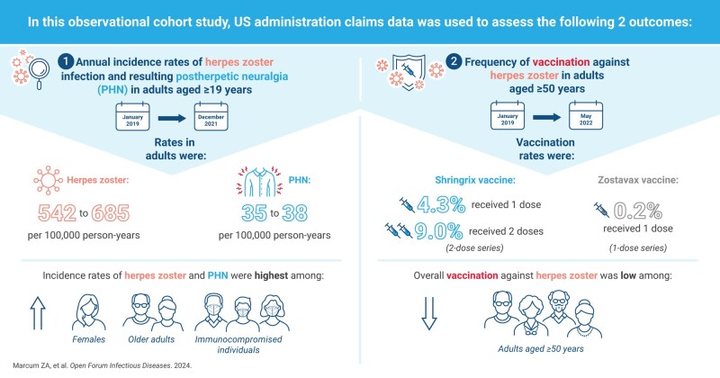 Graphical abstract