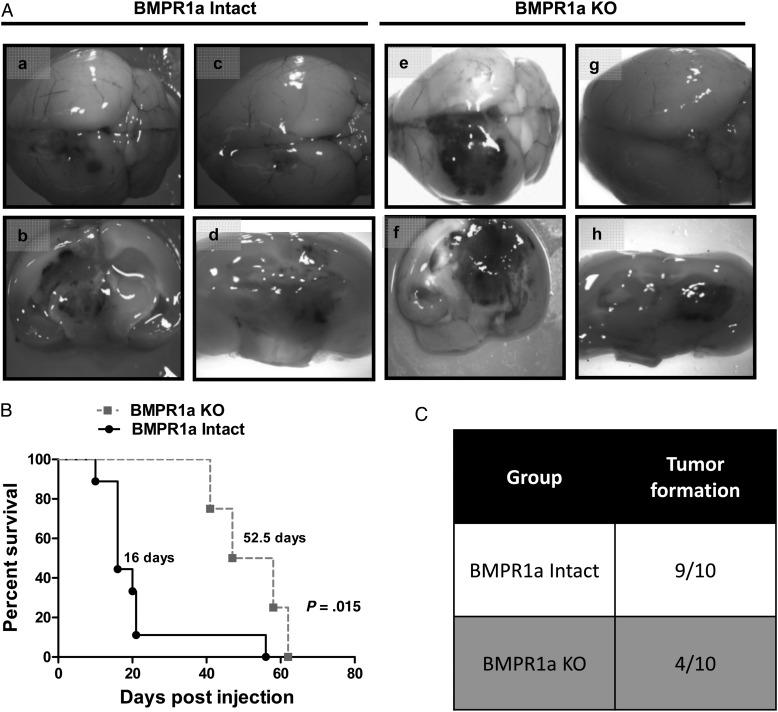 Fig. 3.