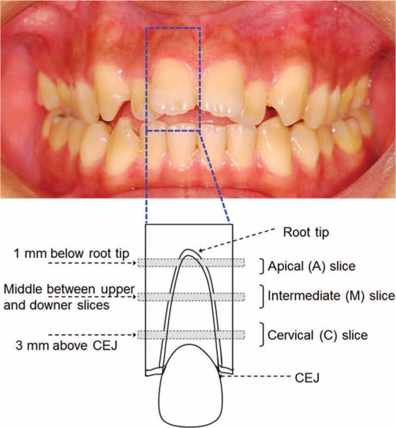 FIGURE 1