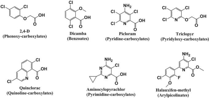 PS-4823-FIG-0001-b