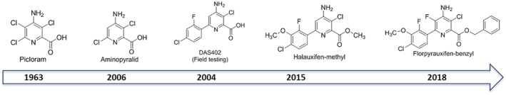 PS-4823-FIG-0009-c