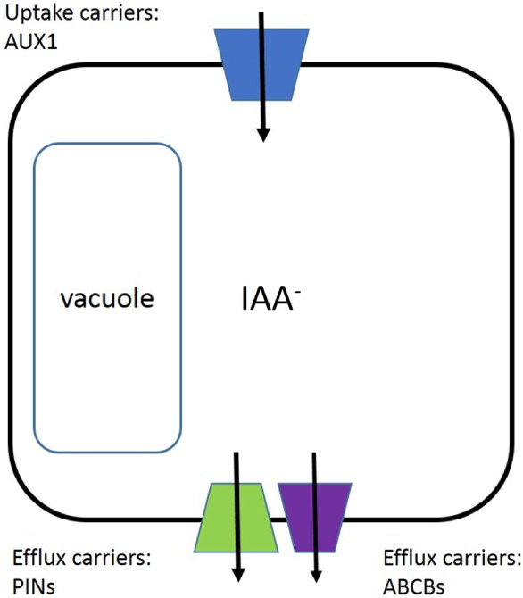 PS-4823-FIG-0008-c