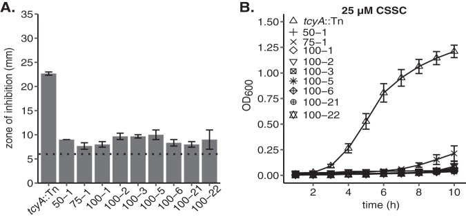 FIG 2