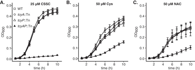 FIG 4